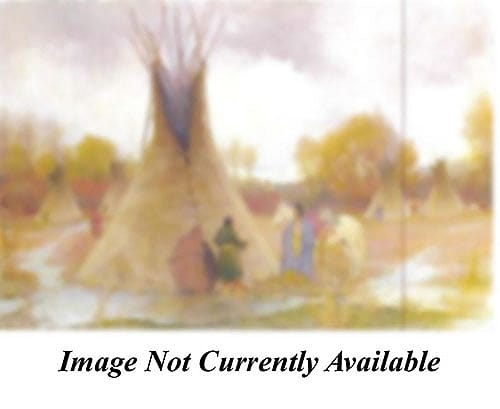 The Chief's Lodge, Crow Reservation, Montana